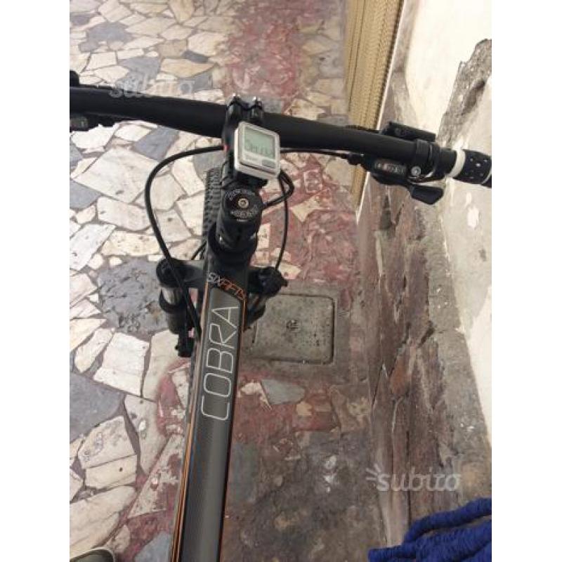 Bicicletta cobra xl
